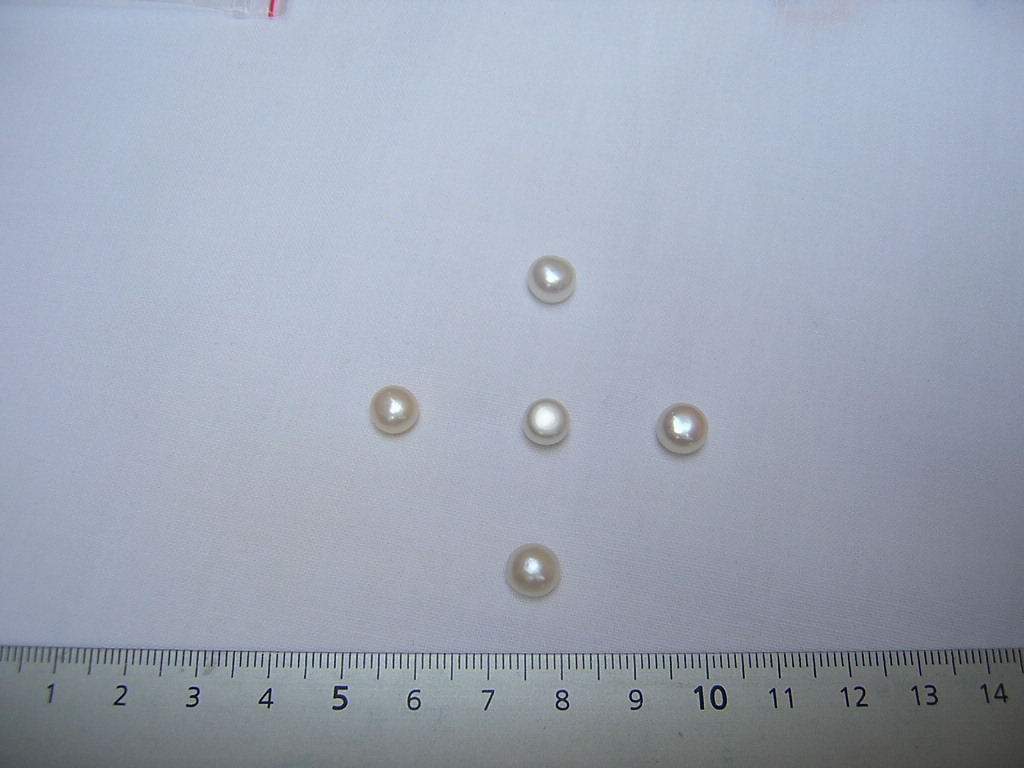 5-6mm dome shaped white pearl