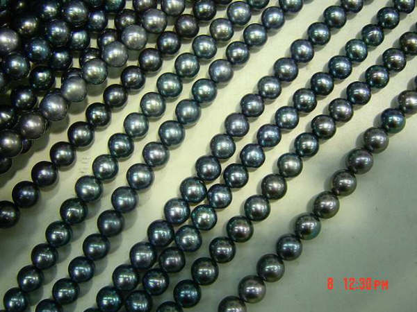 8-9mm grade AA round black pearl strands